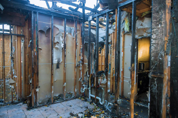 Professional Fire Damage Repair technician working in Starbuck, MN